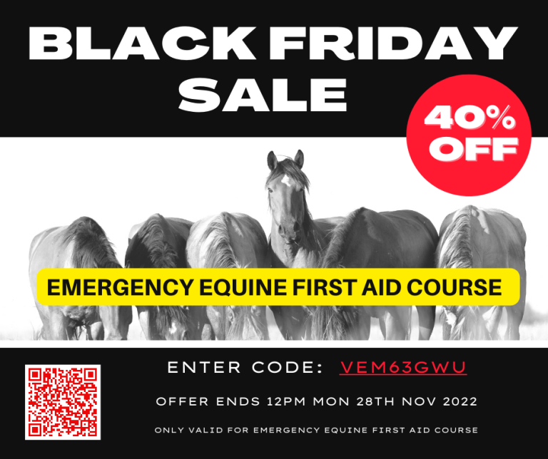 40% Off Equine Online Courses